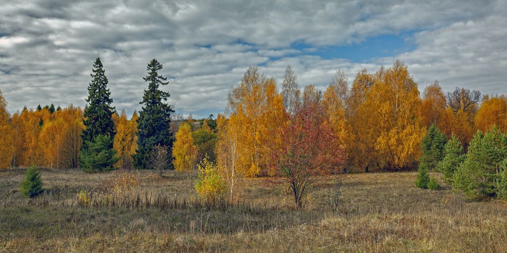 Люблю я пышное природы увяданье, В багрец и в золото одетые леса.  А.С. Пушкин.
