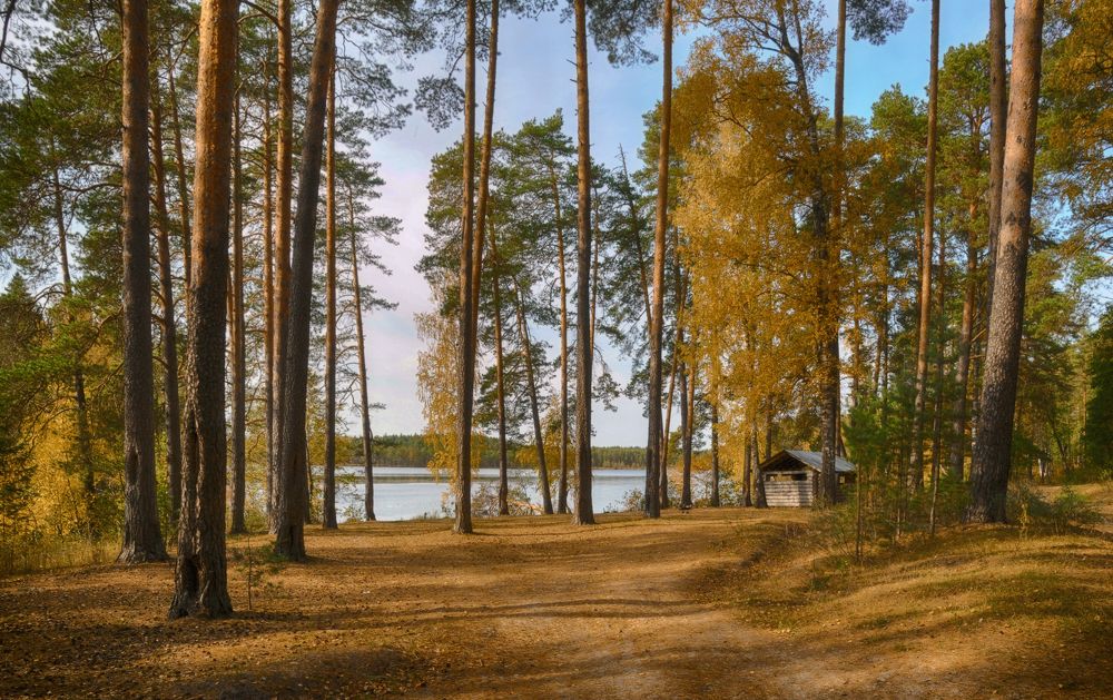 Солнечная осень