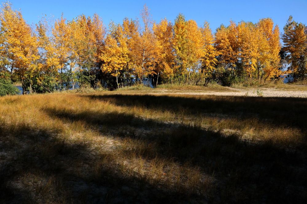 Photograph by Владимир Подкуйко
