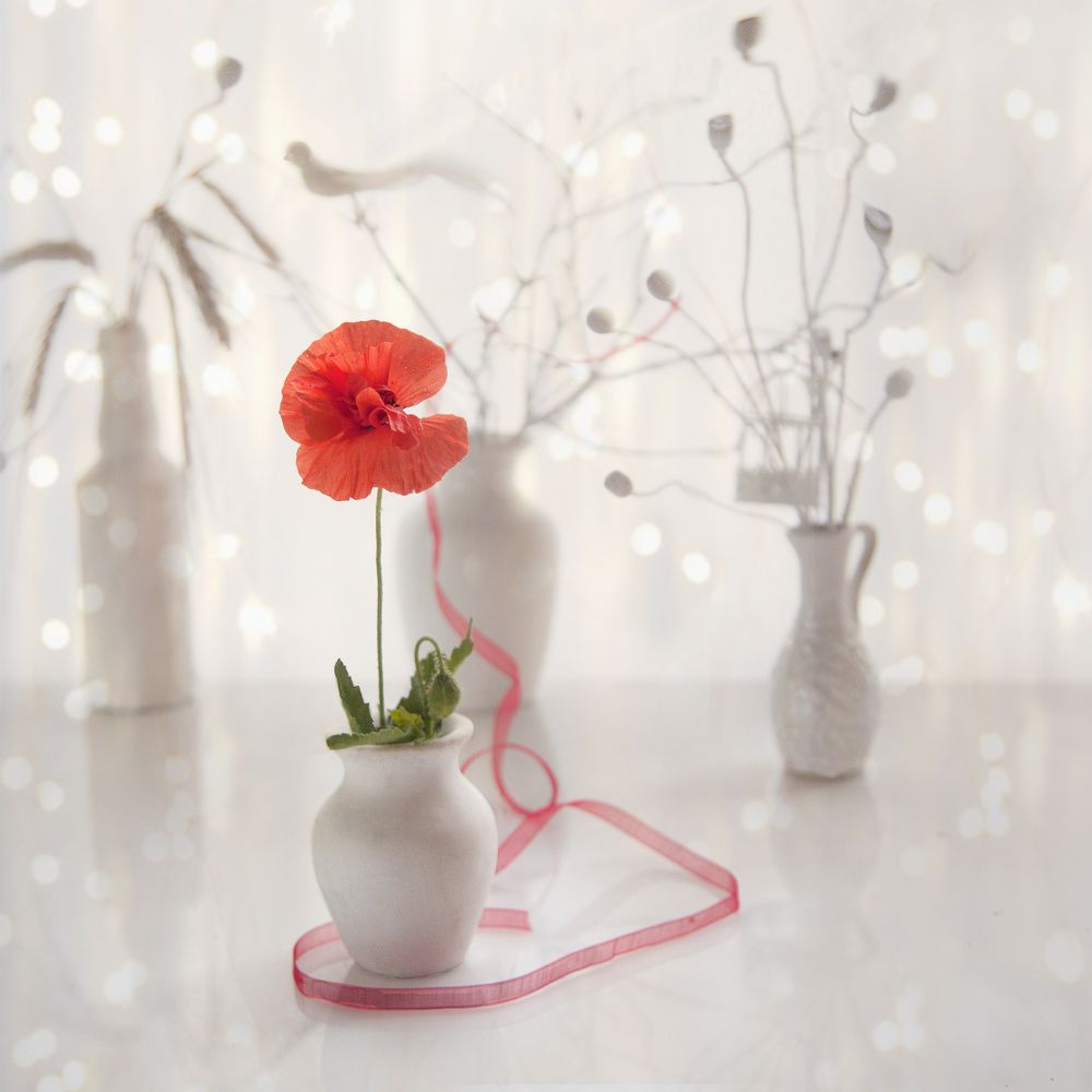 Photograph by Татьяна Назмутдинова