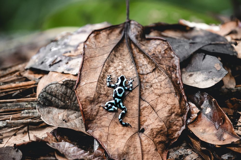 Photograph by Timur Korotkov