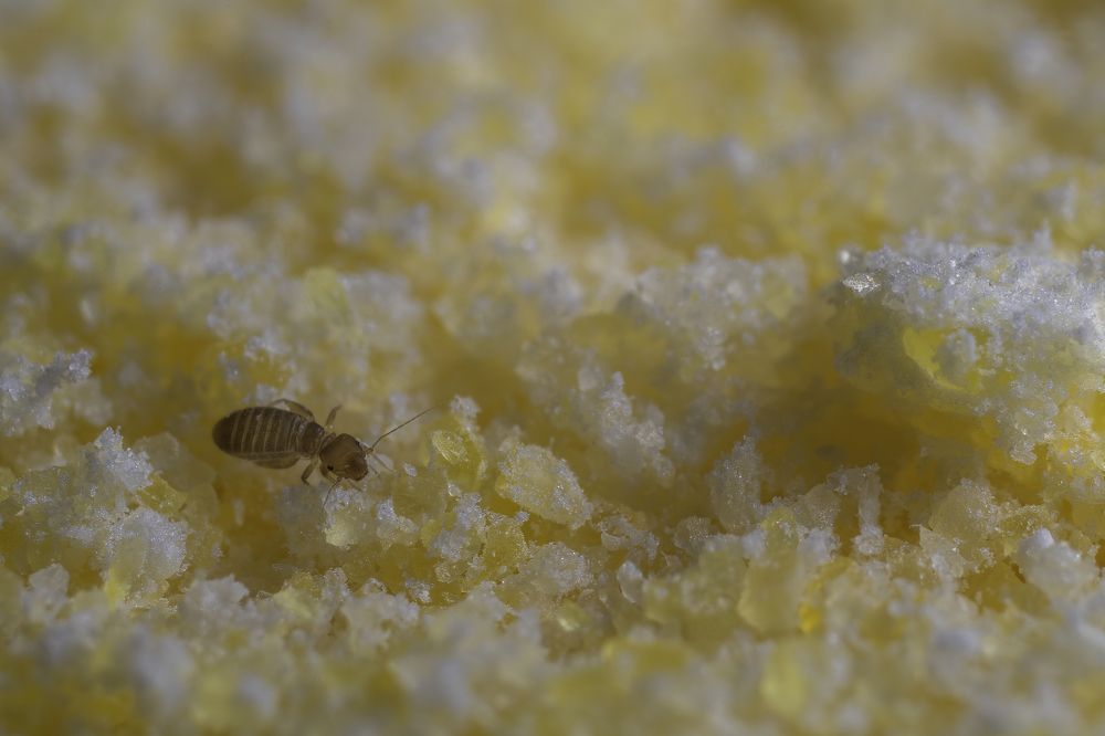 Фотография автора Eimar Kull