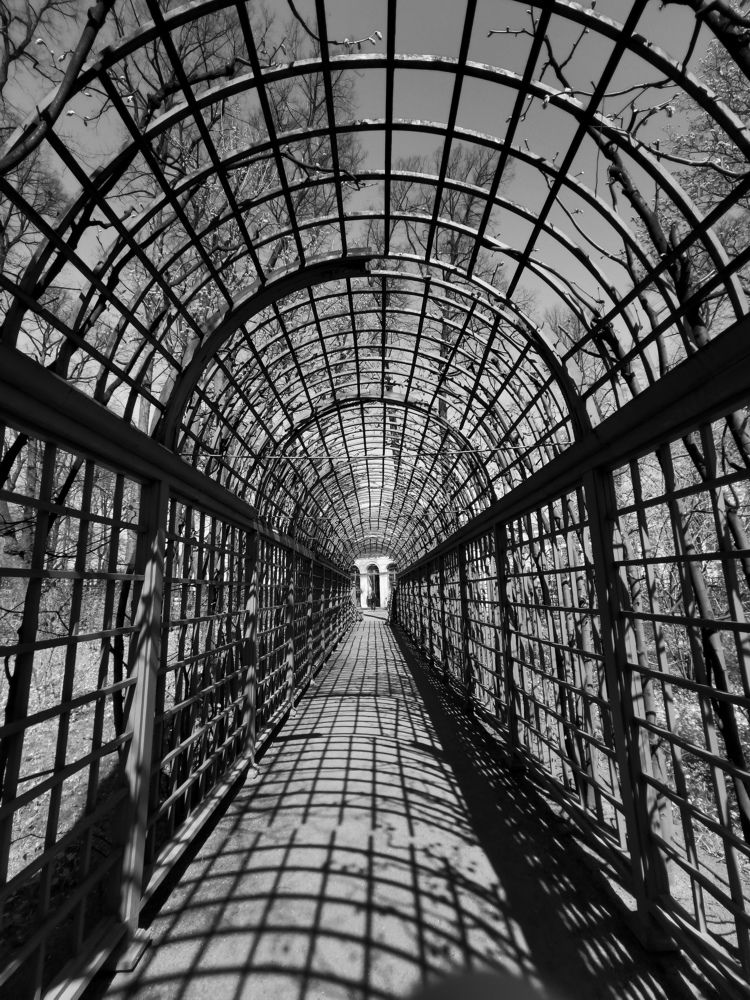 Photograph by Олеся Газиева