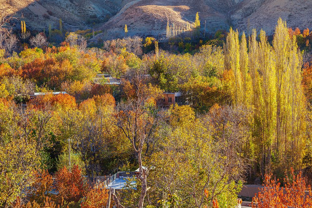 Photograph by Hengameh pirooz