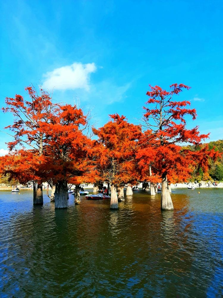 Photograph by Natalya Vasilenko