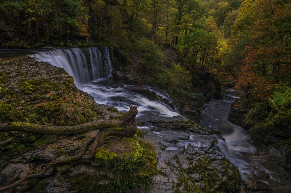 Photograph by Sandra Kepkowska