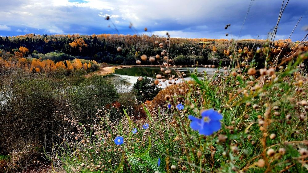 Photograph by Ольга Михайлова