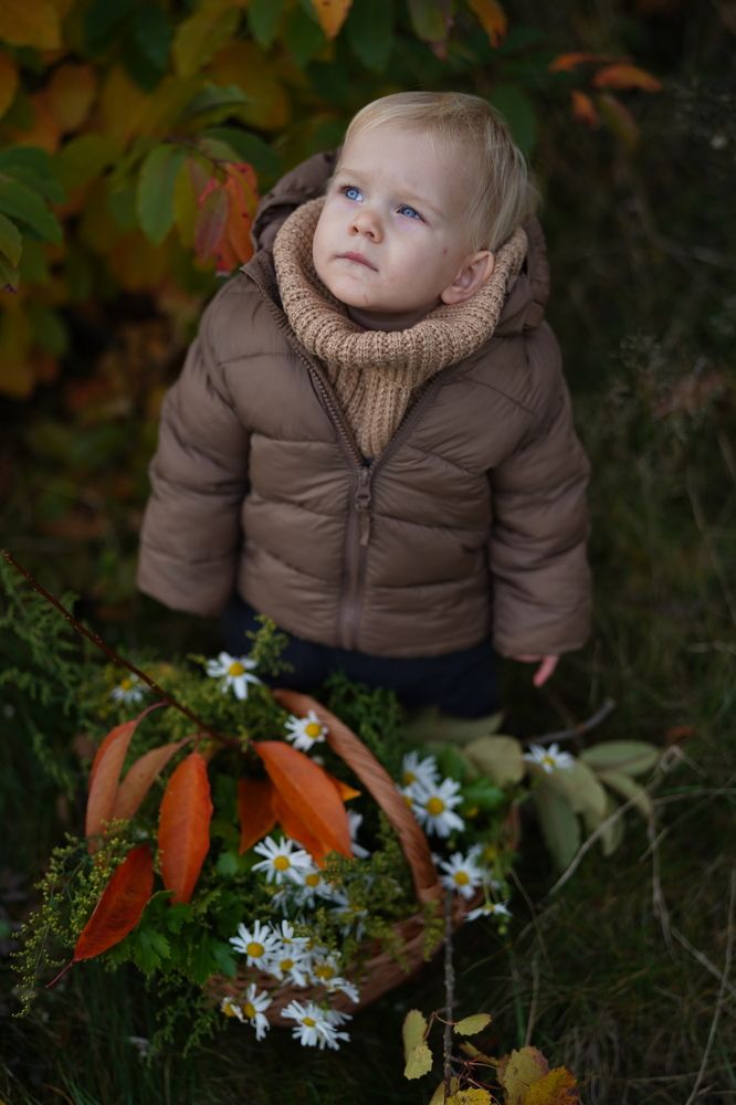 Они вернутся