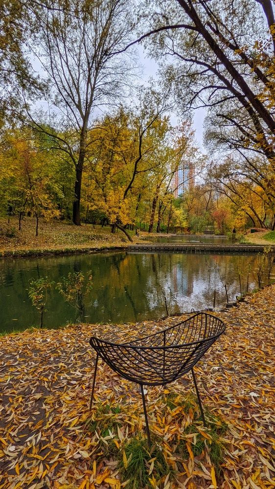 Photograph by Александра Яценко