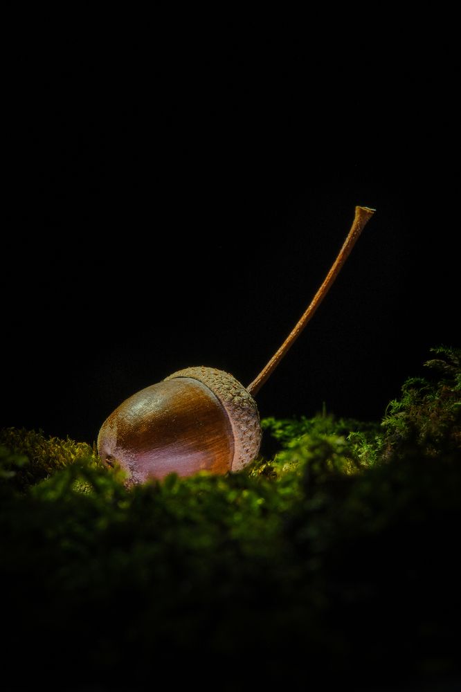 Photograph by Сергей Биденко