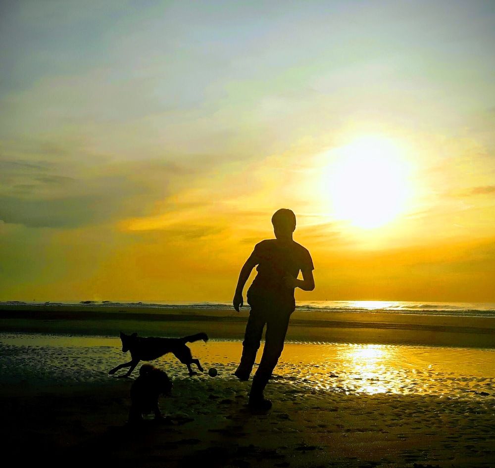 Photograph by Sacha van Rietschoten