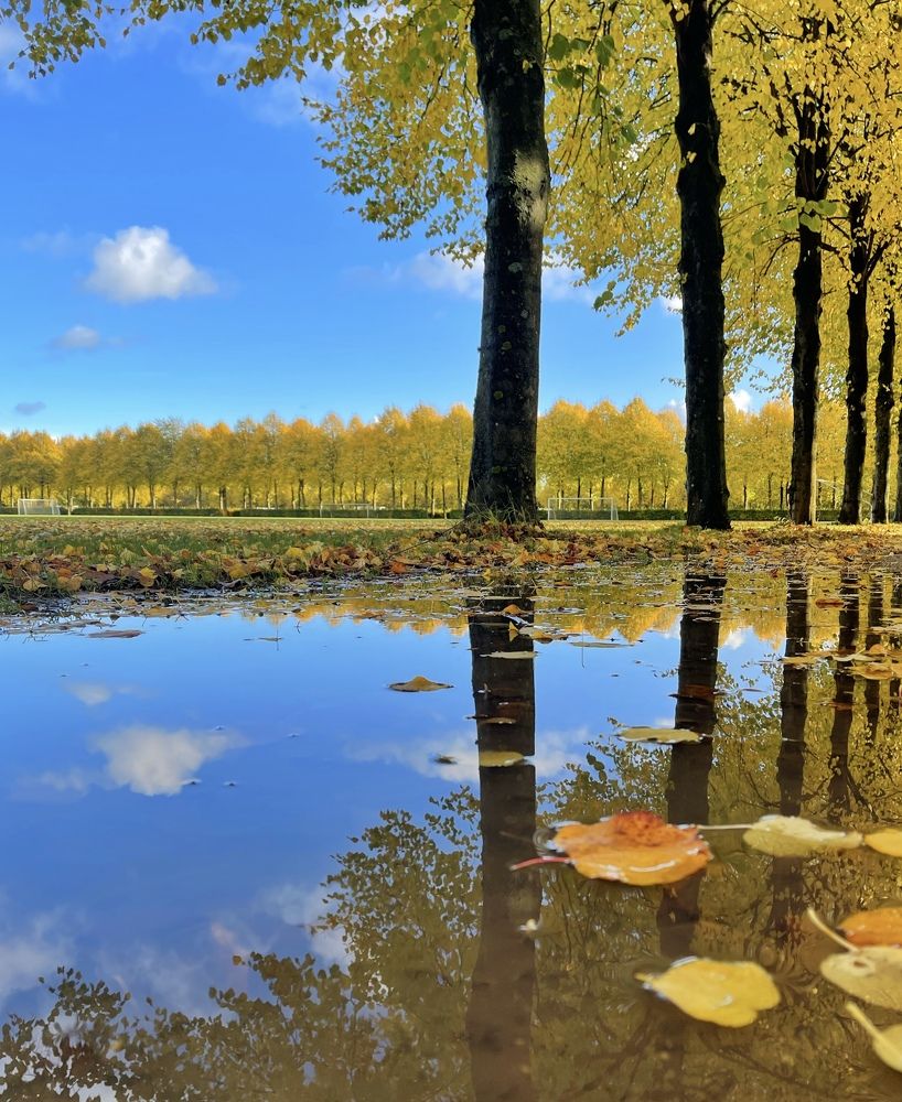 Photograph by Lila Sabbaghian Rad