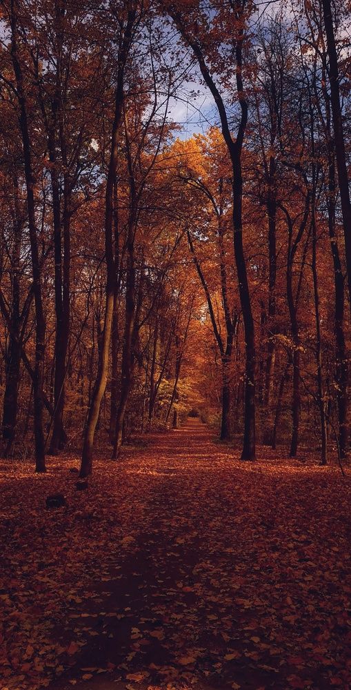 Photograph by Ольга Кудина