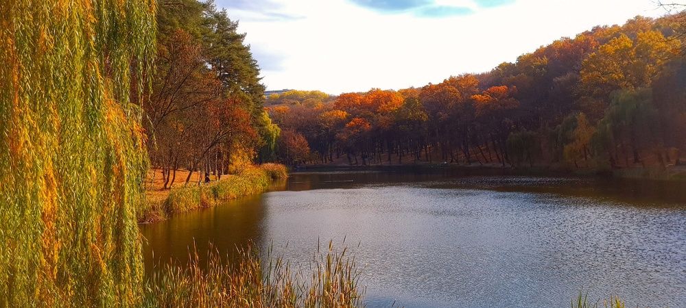 Photograph by Ольга Кудина