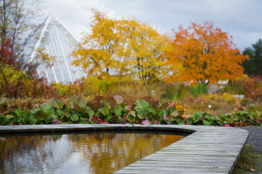 Photograph by Цывкунова Полина