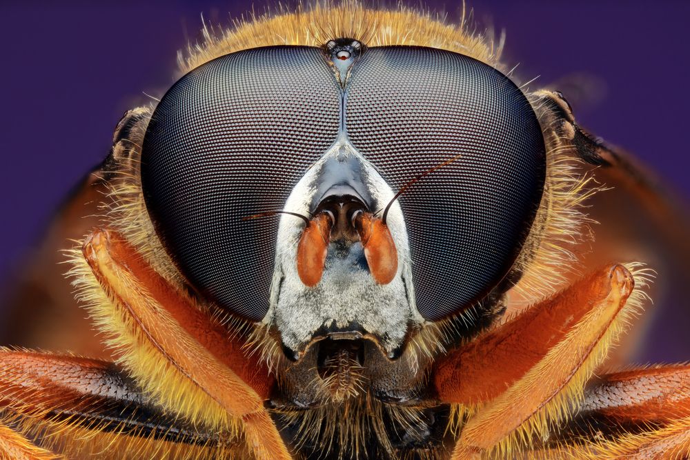 Photograph by Роман Фадеев