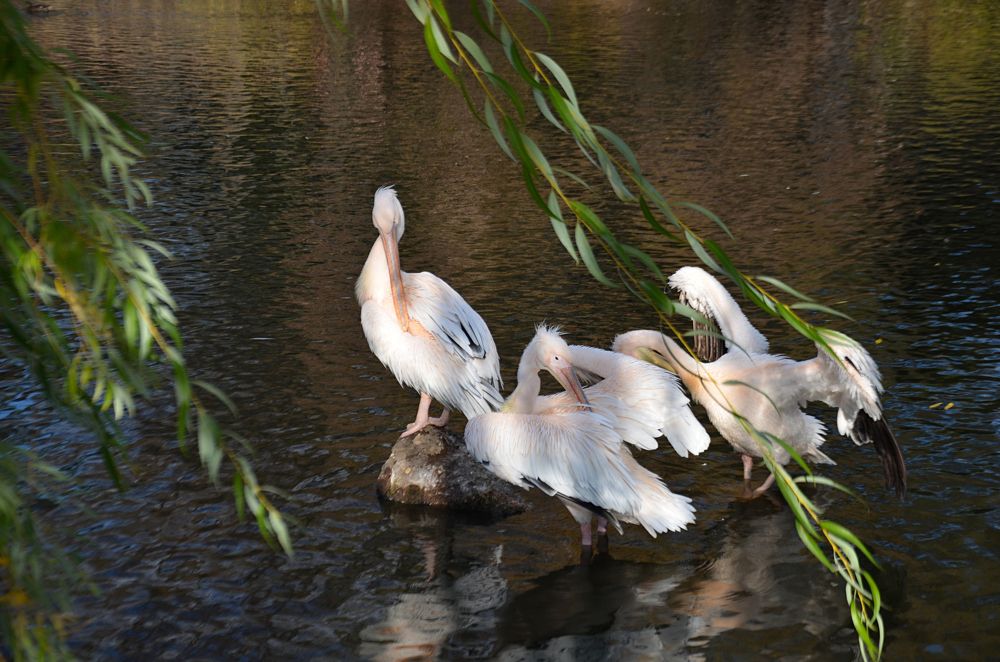 Photograph by Наталия Иванова