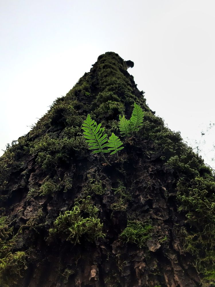 Photograph by Farzin Yarahmadi