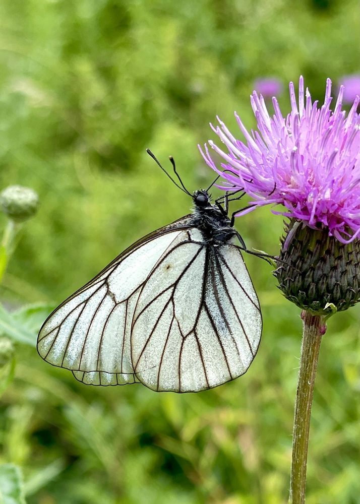 Photograph by Татьяна Ноздрина
