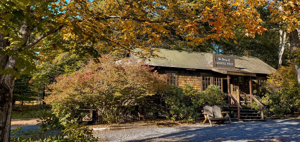 Photograph by Andrea