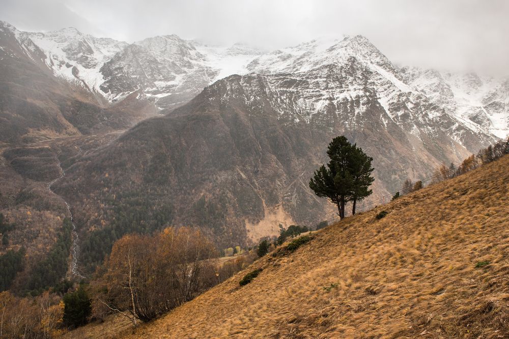 Photograph by Евгений Моляшов