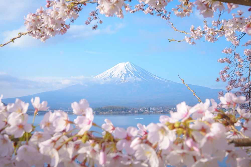 Фотография автора Takashi