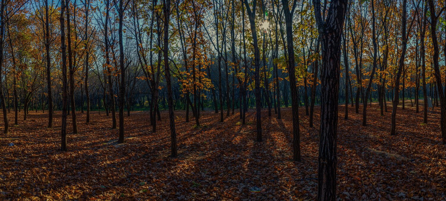Photo #6635610