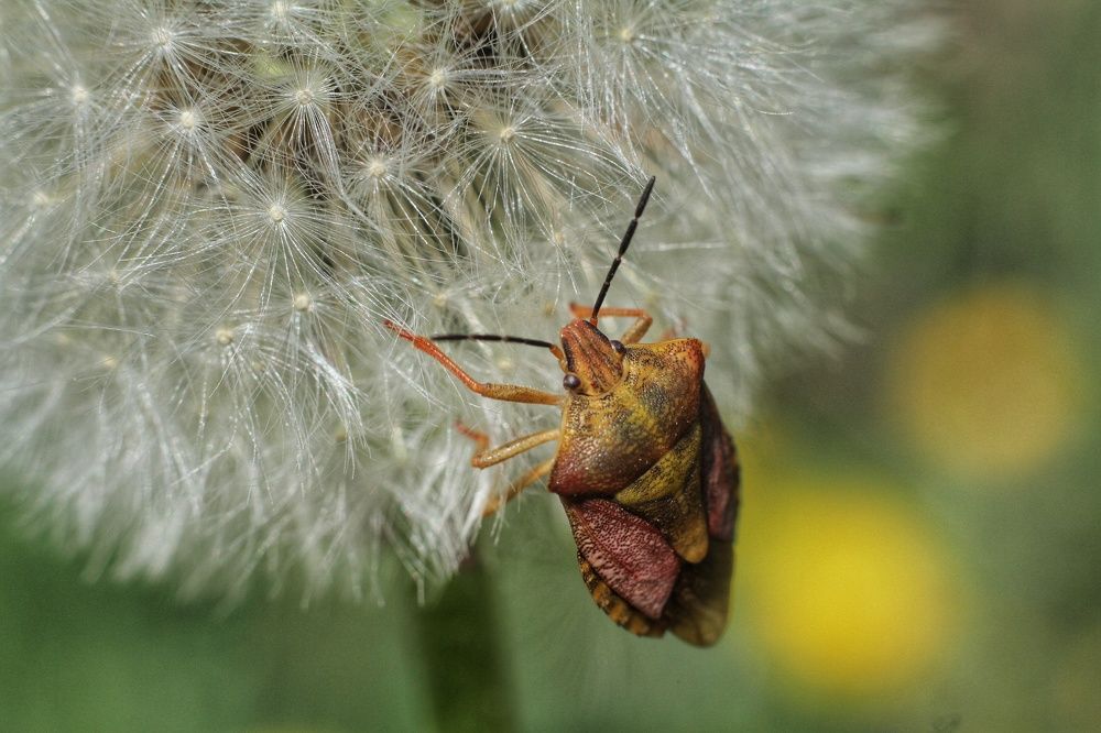 Photograph by Марина Савченко