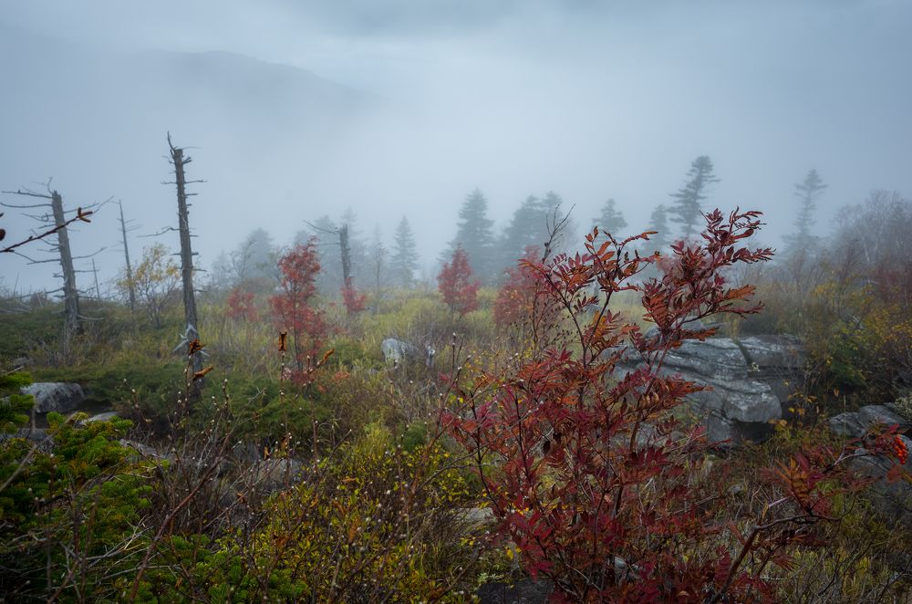 За покровом воображения.