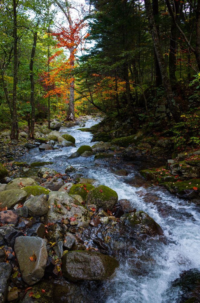 Горная долина.