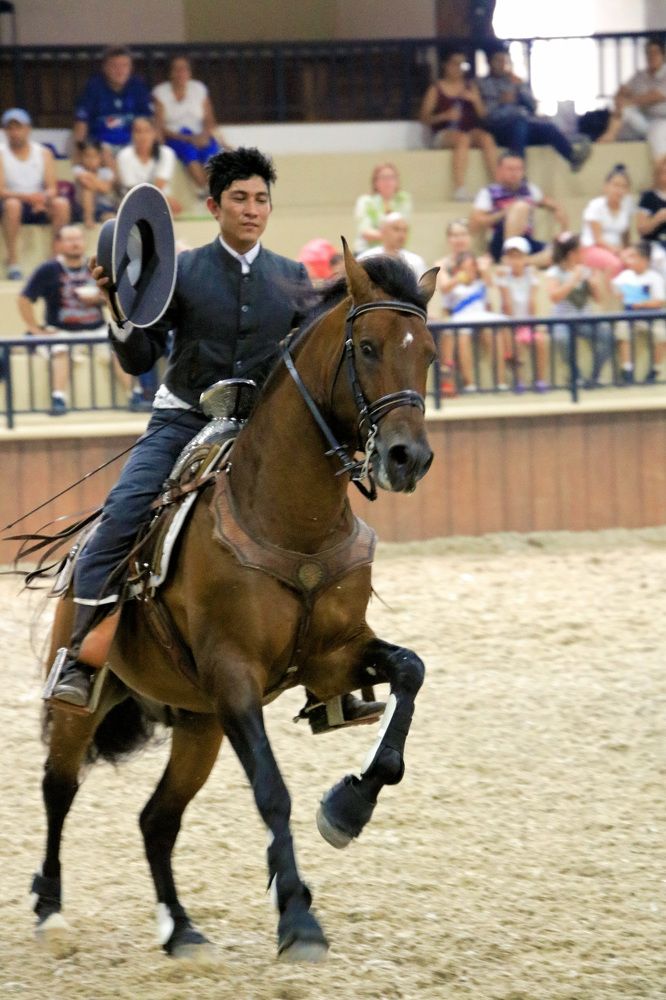 Фотография автора Juan Carlos Castillo