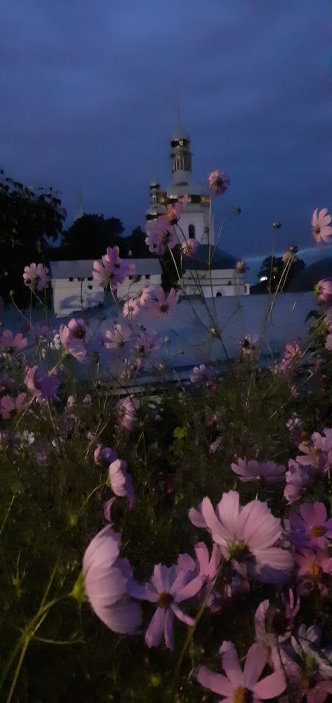 Photograph by Валерий Нестеров