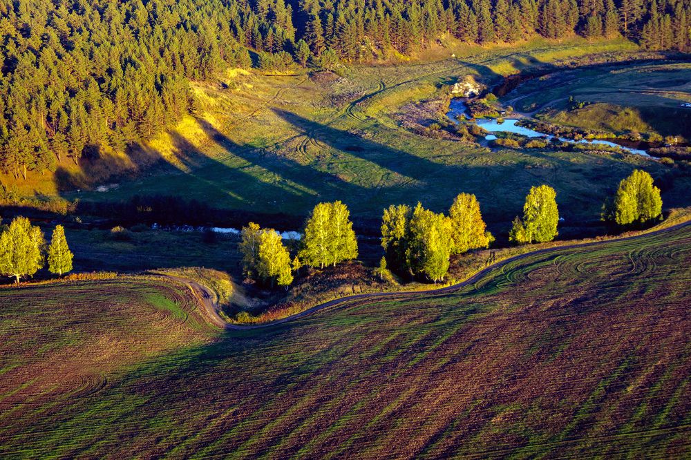 Осенние тени