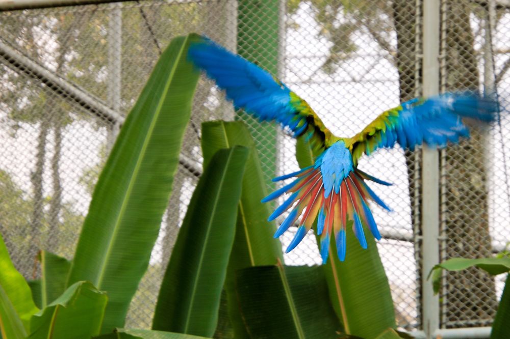 Фотография автора Juan Carlos Castillo
