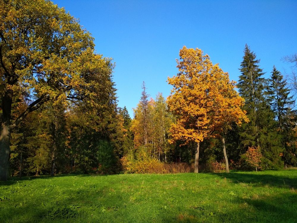 Photograph by ПЕТР ПУСТЫЛЬНИК