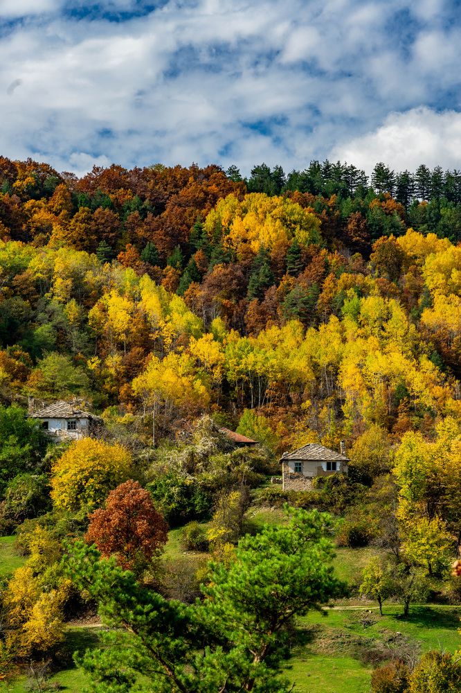 The colors of Autumn