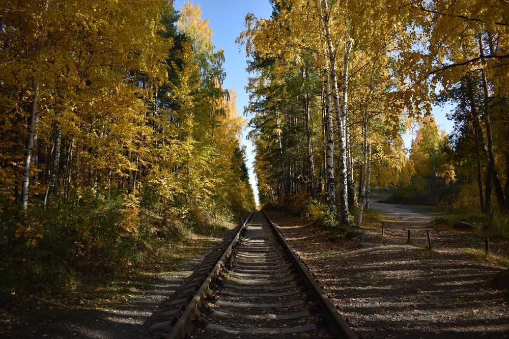 Photograph by Валерия