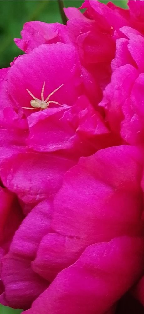 Photograph by Любовь Панфилова