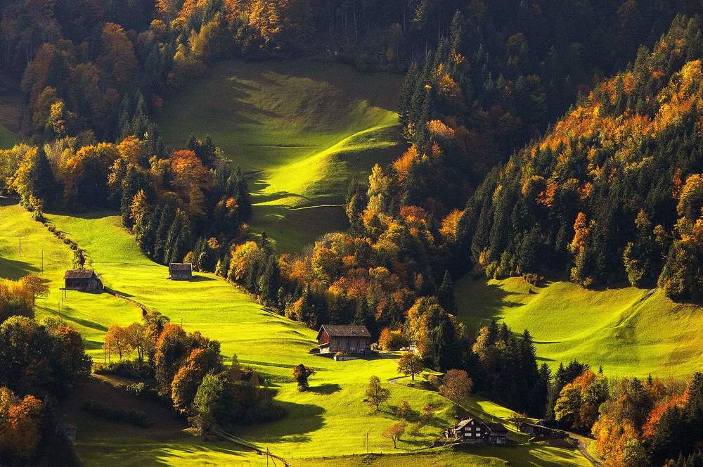 Photograph by Alex Polli