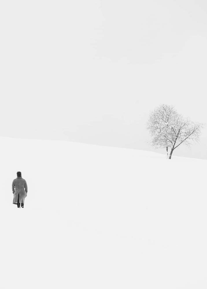 Фотография автора Alex POLLI