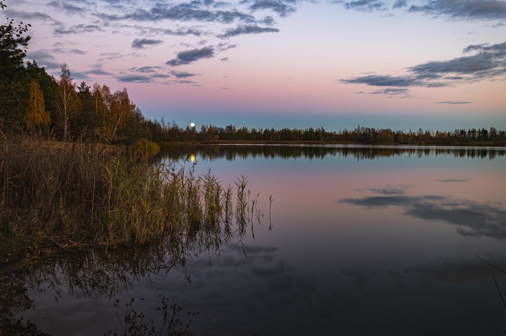 Photograph by Roman Adler