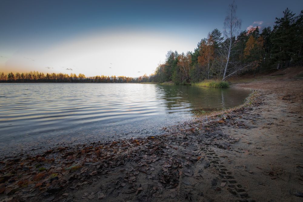 Photograph by Roman Adler