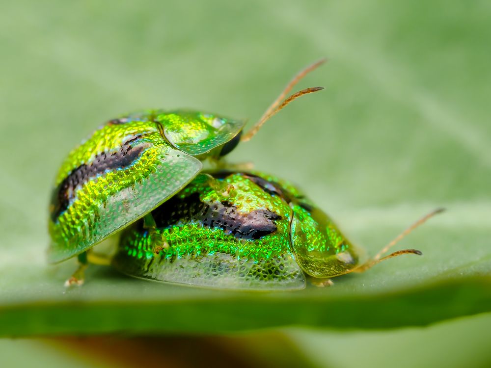 Photograph by Hardeep Solanki