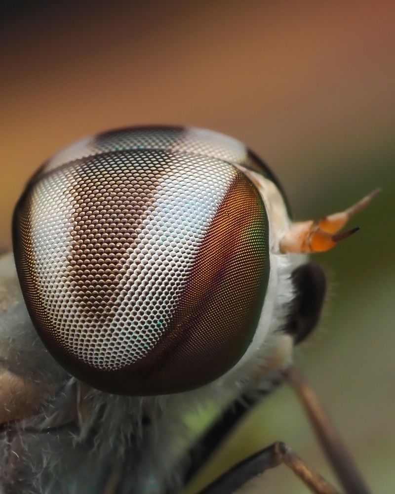 Photograph by Hardeep Solanki