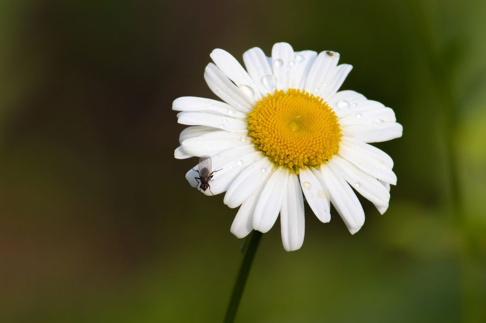 Photograph by Татьяна Новикова