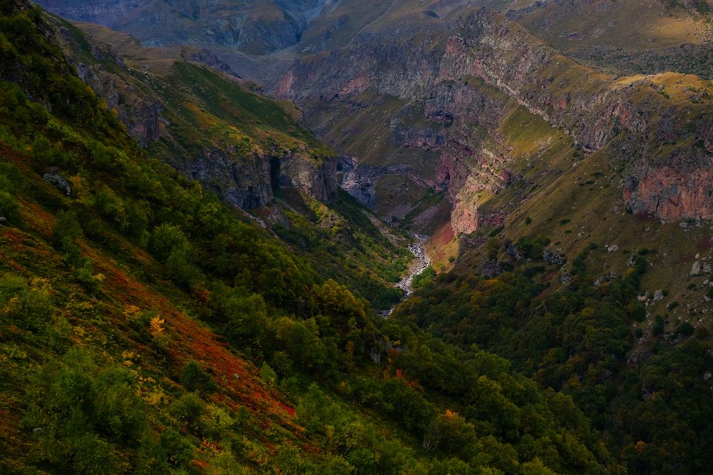 Photograph by Кристина Власова