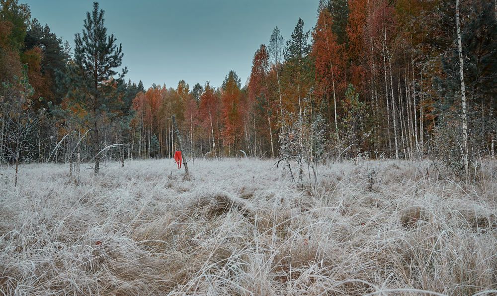 Photograph by Владимир Васенев