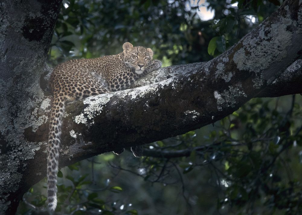 Photograph by Renny Poulose