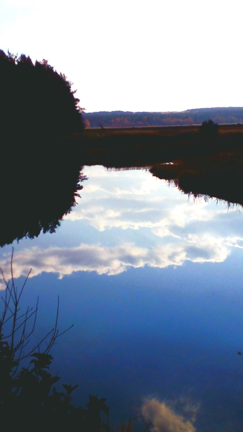 Photo #6635989