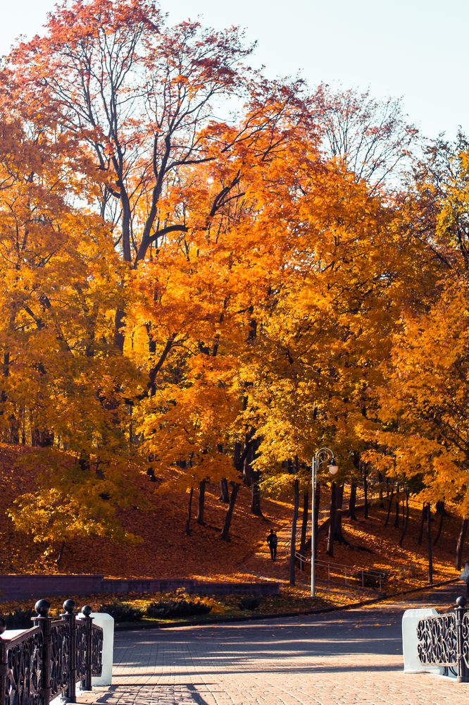 Фотография автора Андрей Воробьёв